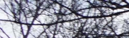 Sony FE 28-70mm F3.5-5.6 OSS (SEL2870)