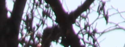 Megatest ultrazoomových objektivů