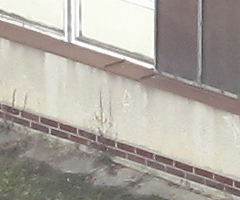 Canon PowerShot G10: stále mezi nejlepšími