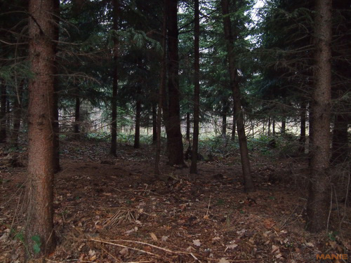 Olympus PEN E-P3: král všech PENů