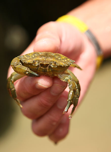 Hyperfokální ostření na příkladech z Algarve: III.