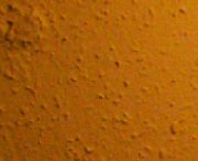 DiMAGE Z5: stabilních pět milionů