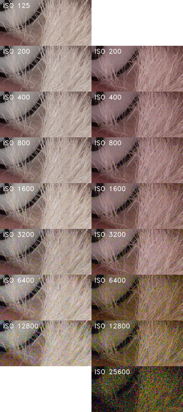 Souboj senzorů: jaký je rozdíl mezi 4/3" a 1,0" čipem?