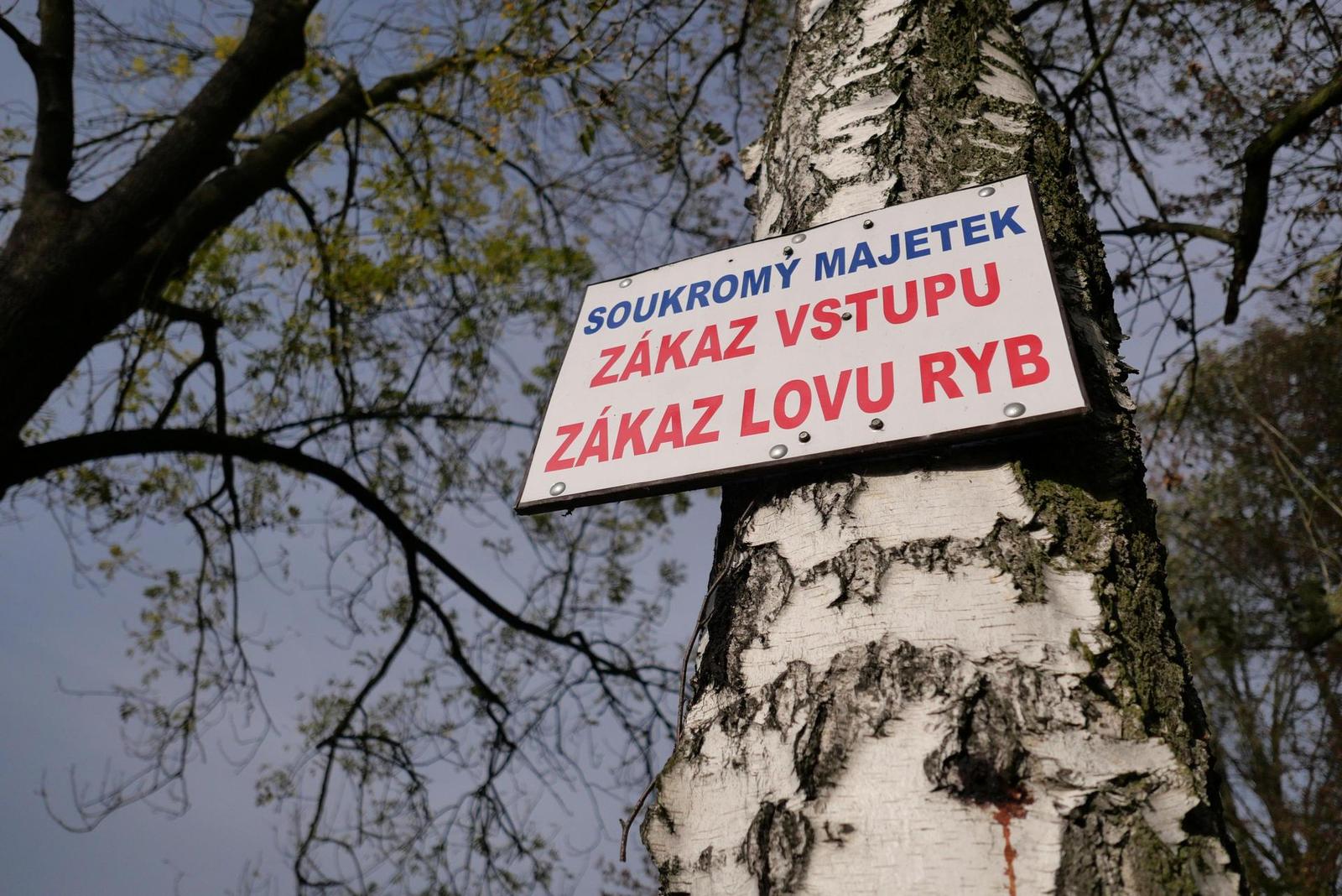 Panasonic Lumix LX100 II: postřehy z praxe