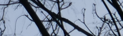 Panasonic Leica DG Vario-Elmarit 12-60mm / F2.8-4.0 ASPH. / Power O.I.S.