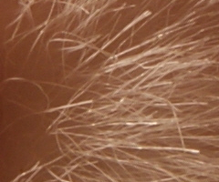 Sony Alpha A230: nejlevnější z nového trojlístku