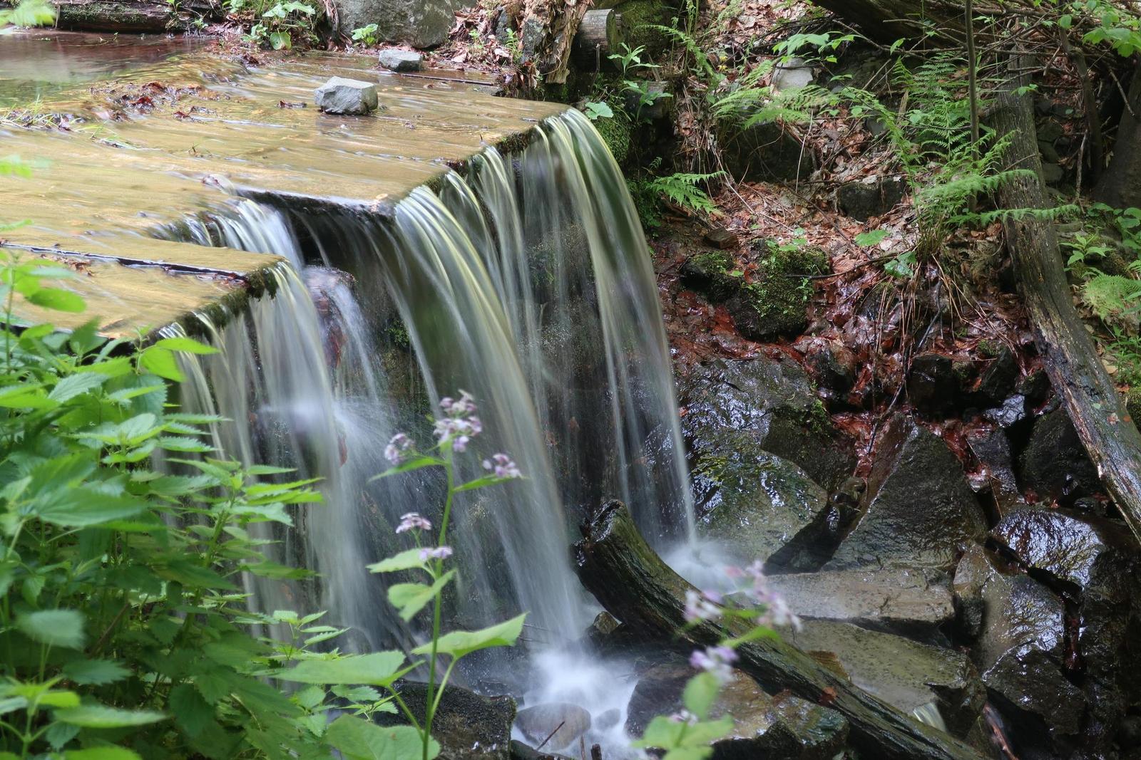 Canon PowerShot G9 X Mark II: kapesní borec