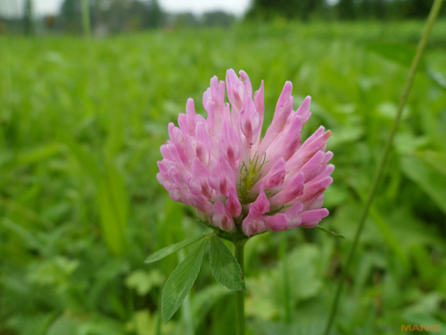 Starý vs. nový aneb megapixely k ničemu?