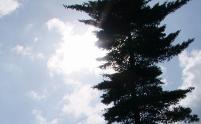 Fujifilm S100FS: jde zrcadlovkám po krku