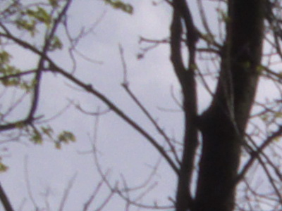 Fujifilm FinePix HS10: ultrazoom roku?