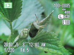 Fujifilm FinePix HS10: ultrazoom roku?