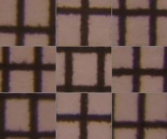 Sony SLT-A33: přesvědčivý revolucionář