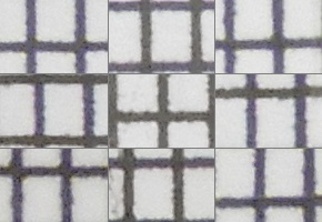 Nikon Coolpix B700: přírodovědec