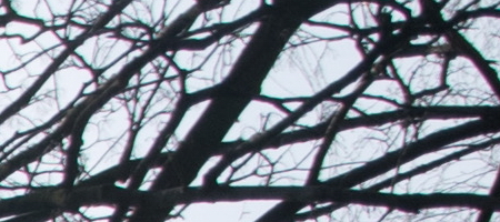 Nikon AF-S DX NIKKOR 16-85mm f/3.5-5.6G ED VR