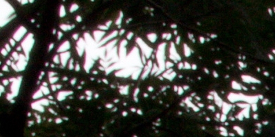 Canon EF-S 18-55mm F3,5-5,6 IS STM