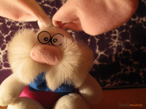 Canon PowerShot G10: stále mezi nejlepšími