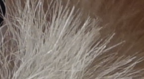 Sony Cyber-shot RX100 III (RX100M3): superSony