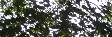 Panasonic Lumix FZ300: opět na špici