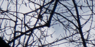 Sony SEL-P1650 (E 16-50mm 3.5-5.6/PZ OSS)