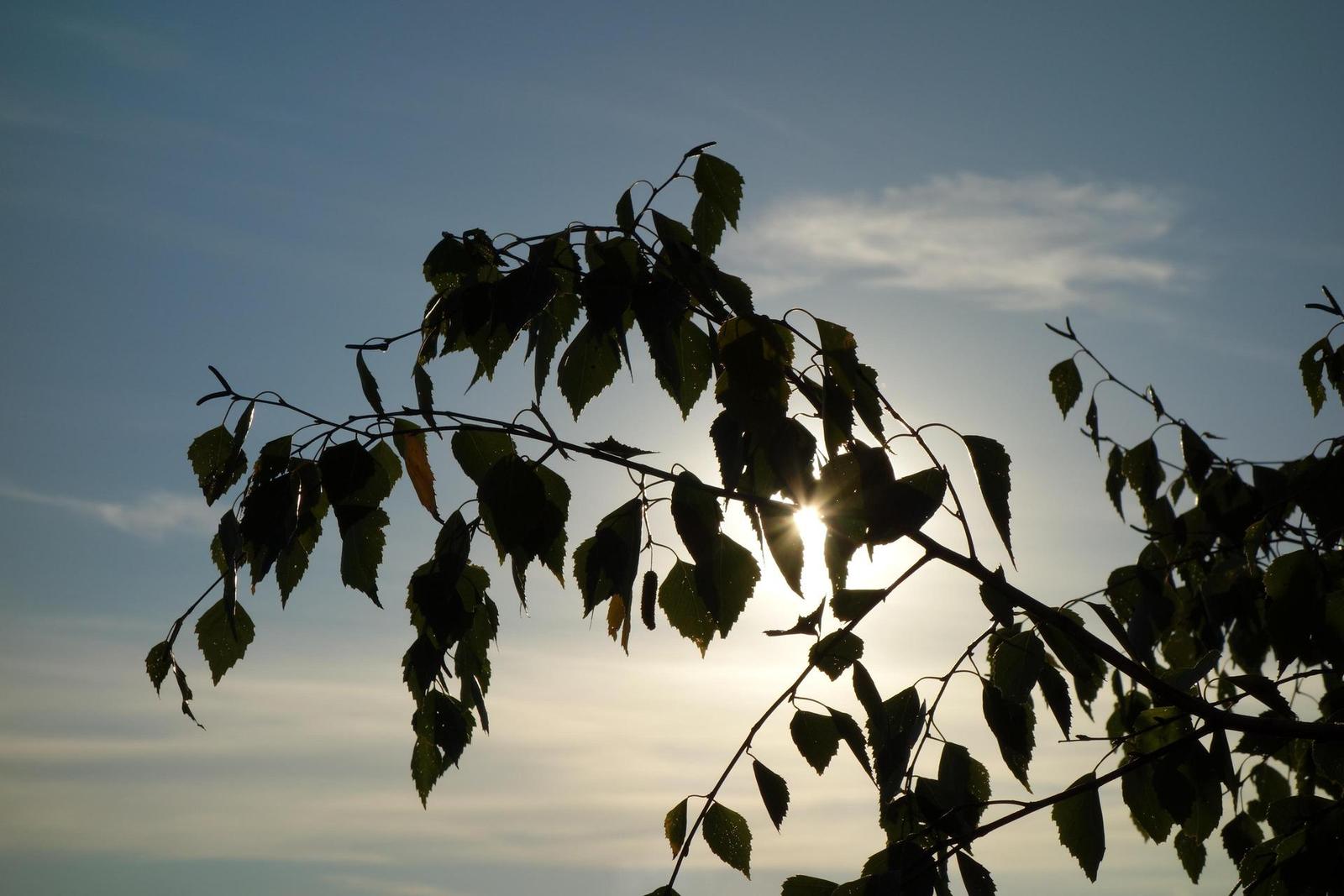 Sony Cyber-shot RX100: terminátor zrcadlovek