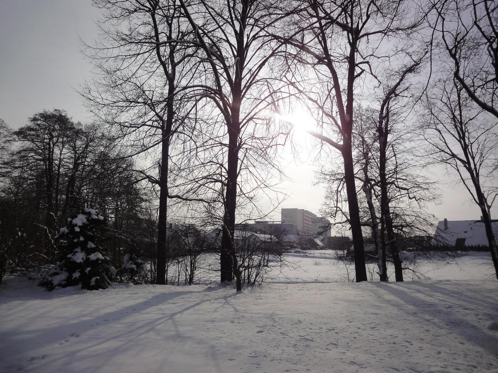 Sony Cyber-shot WX1: Vypilovaný drobek