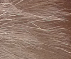 Panasonic Lumix LX3: nejtajnější přání vyslyšena