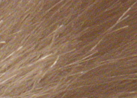 Panasonic Lumix G3: menší a lehčí, je i lepší?