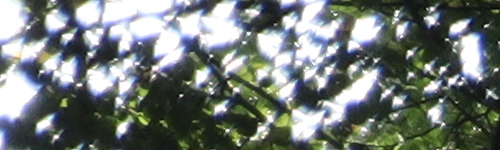 Canon EF-M 28mm f/3.5 Macro IS STM