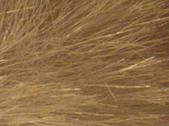 Olympus XZ-1: trefa do černého