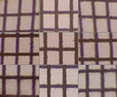 Panasonic Lumix TZ10: kapesní dělo