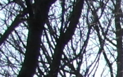 Samsung 16mm F2.4 pancake