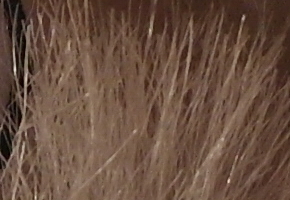 Samsung NX1000: sněhobílý bezdrát