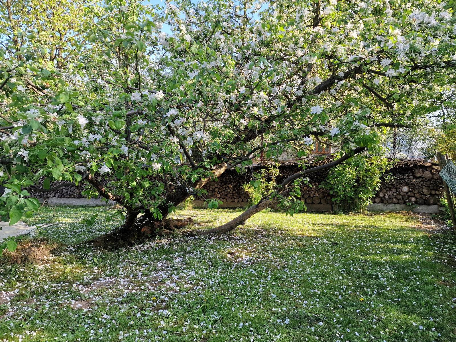 Samsung Galaxy S22 Ultra: pětioký fotografický král?