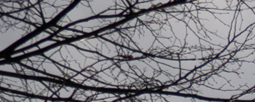 Panasonic Leica DG Vario-Summilux 25-50mm F1.7 ASPH.