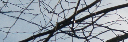 Panasonic Lumix G Vario 35-100mm F4-5.6 MEGA O.I.S.