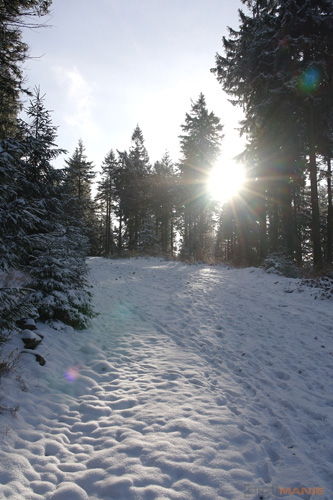 Samsung NX100: "zrcadlovka" do kapsy