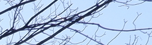 Fujinon XF 23mm F2 R WR