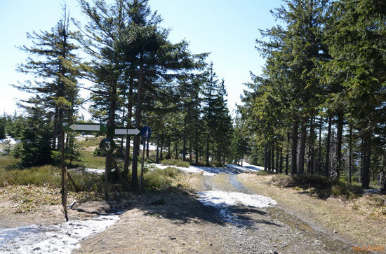 Nikon D5100: jeden z nejlepších?