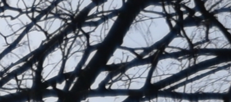 Nikon AF-S DX NIKKOR 16-85mm f/3.5-5.6G ED VR