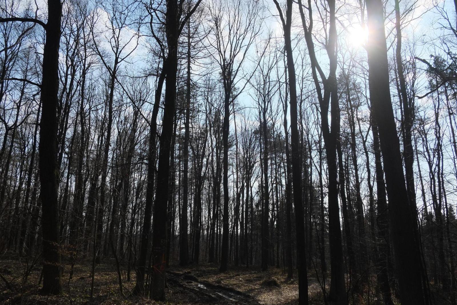 Fujinon XF 18mm f/2R