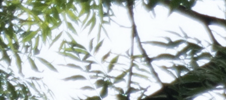 Samsung 16-50mm 1:3.5-5.6 ED OIS Power Zoom