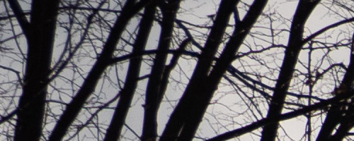 Panasonic Leica DG Vario-Summilux 10-25mm F1.7 ASPH.