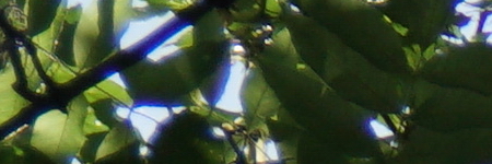 Sony Carl Zeiss Vario-Tessar T* 16-70mm F4 OSS (SEL1670Z)