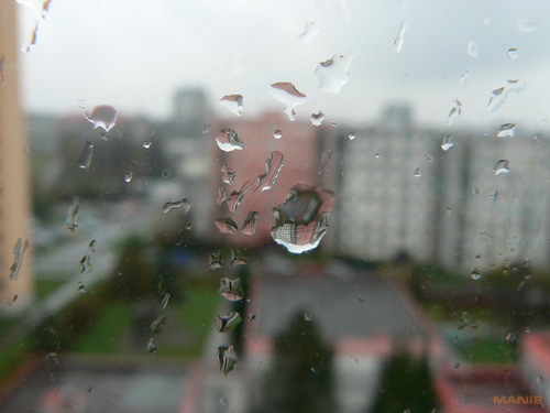 Raynox DCR-150: kvalitní makro levně