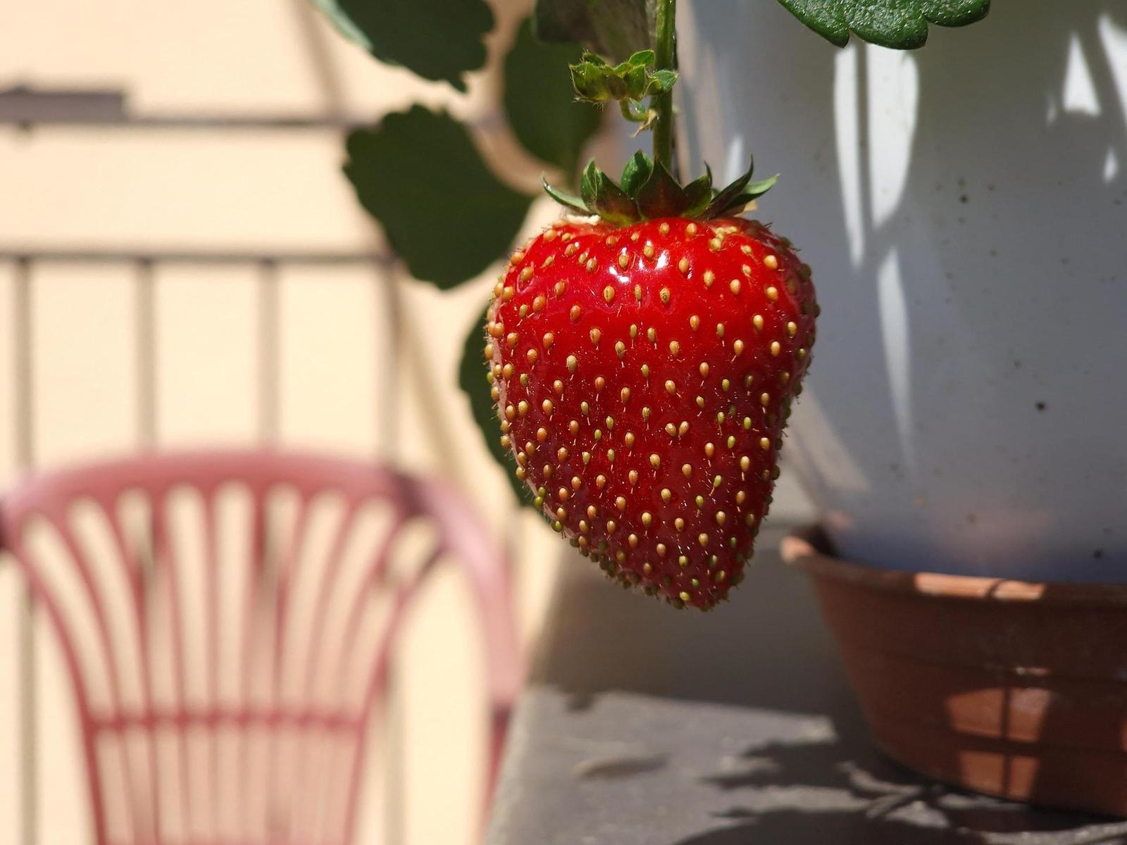 Samsung Galaxy S22 Ultra: pětioký fotografický král?