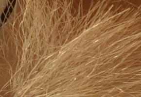 Nikon Coolpix A: velmi příjemná (ne)výraznost