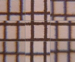 Panasonic Lumix TZ10: kapesní dělo