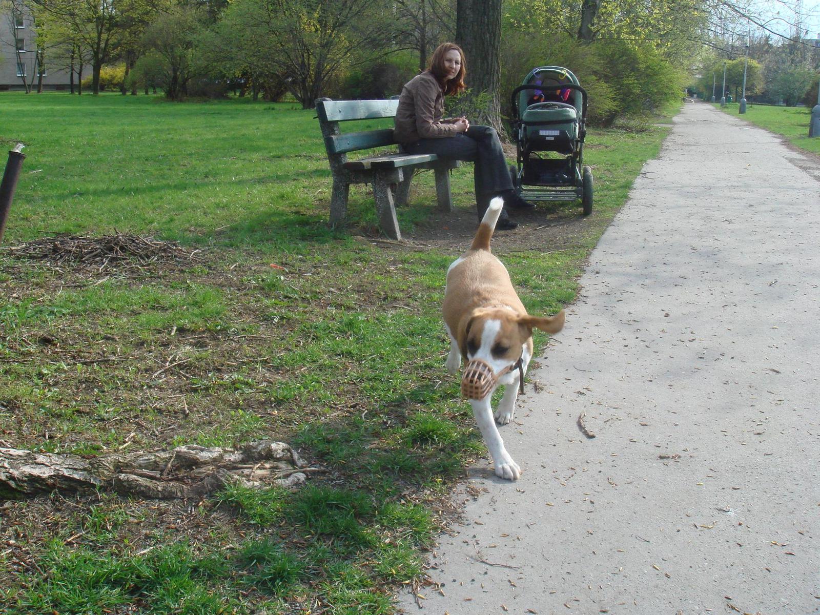 Sony T30: Další verze povedené stabilizované placatky