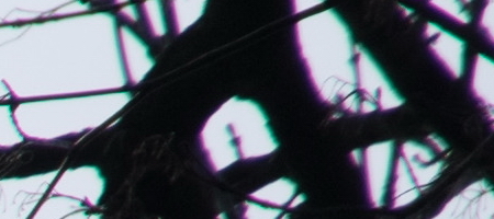 Nikon AF-S DX NIKKOR 16-85mm f/3.5-5.6G ED VR