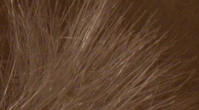 Nikon D3300: drobek se silným srdcem